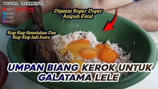 CARA YG BENAR MEMBUAT UMPAN BIANG KEROK UNTUK GALATAMA LELE