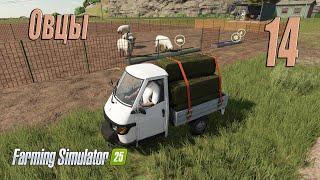 Farming Simulator 25 [карта Hutan Pantai], #14 Овцы