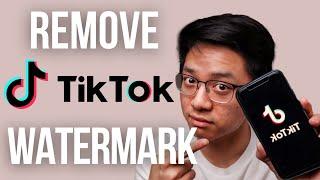 How To EASILY Download TikToks Without the Watermark