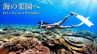 Freediving at a Secret Paradise in Okinawa Main Island, Japan｜素潜り＠沖縄本島の穴場シークレットビーチ