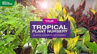 TROPICAL PLANT nursery TOUR | 100’s of plants