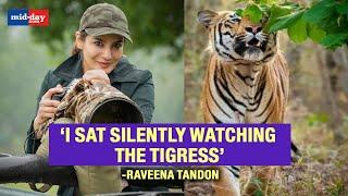 Raveena Tandon Responds After Being Probed For Animal Proximity In Satpura Tiger Reserve