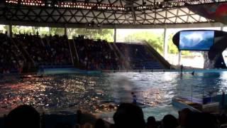 With Zen's family at sea world, San Antonio