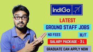 Indigo Airlines Job Vacancy 2021 [GROUND STAFF] M/F Apply Now [Full Process]️️