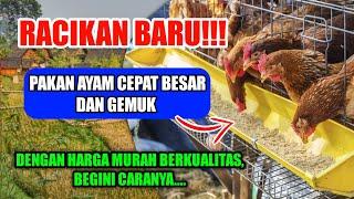 RACIKAN BARU!!! BUAT PAKAN AYAM KAMPUNG CEPAT BESAR DAN GEMUK DENGAN HARGA MURAH BERKUALITAS