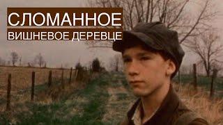 Сломанное вишневое деревце (1982) | Фильм Андрея Кончаловского