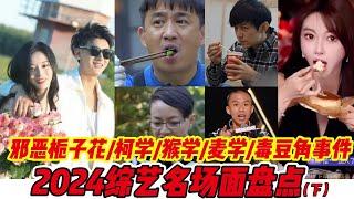 2024综艺大盘点！柯学麦学纷纷上榜！毒豆角事件乐坏观众！#搞笑 #综艺 #麦琳 #何炅 #黄晓明 #宋丹丹 #黄子韬 #徐艺洋 #笑点