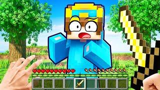 Minecraft But If I Take Damage It Gets More Realistic!