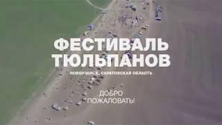 Фестиваль тюльпанов в Новоузенском районе, Саратовская область