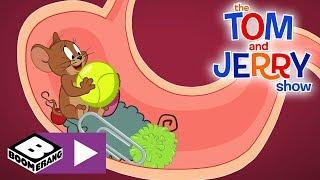 The Tom and Jerry Show | Tom, Jerry And The Ball | Boomerang UK 