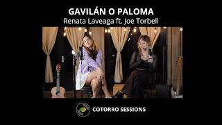 Cotorro Sessions - Gavilán o Paloma - Renata Laveaga ft. Joe Torbell