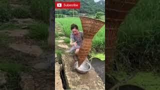 Amazing fishing Girl Skill  Try this you will catch many fish 