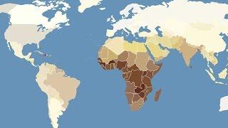 Practical Importance of Human Evolution - Exceptions to the Norm