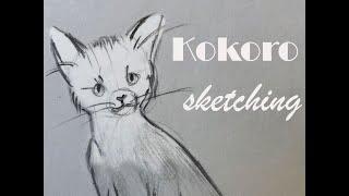 How to draw a cat / easy cats drawing / sketching cute kitten  │ Kokoro