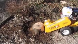 Carlton 900H stump grinder