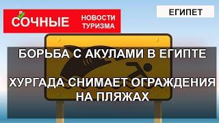 БОРЬБА С АКУЛАМИ В ЕГИПТЕ| Хургада снимает защитные сети от акул. Что происходит?