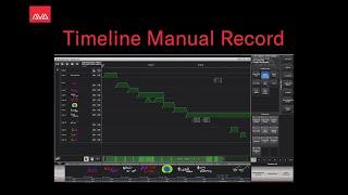 Timeline Manual Record