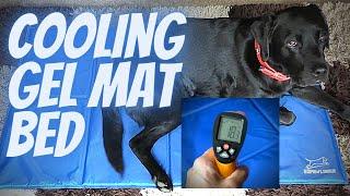Best value Cooling Gel dog or cat mat bed. REALLY WORKS