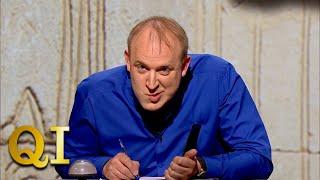 Tim Vine Finally Outpunned | QI