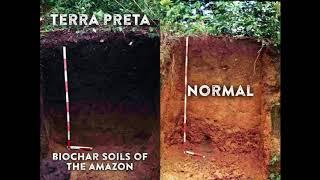 Making Terra Preta Soil