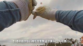 【マニア向け】凧揚げいろいろ　浜松まつり2019　八幡町【令和元年】