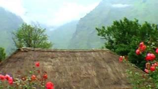 Roadside Fields at Joshimath Chamoli Uttarakhand