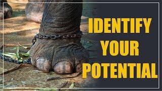 HOW TO IDENTIFY OUR POTENTIAL?( KDSUSHMA)