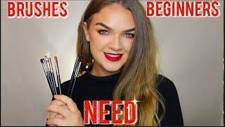 Eye Makeup Brushes for Beginners and Their Uses | Best Morphe Brushes for Beginners