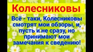 Колесниковы/Смотря мои обзоры/Обзор влогов