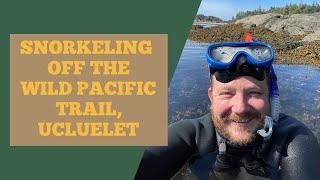 Snorkeling in Ucluelet off the Wild Pacific Trail - A Secret Spot Leads To An AMAZING Adventure!