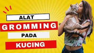 6 Alat Grooming Kucing