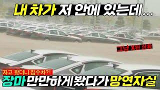 이런 비는 난생 처음;;; 500mm 폭우에 출고 대기중이던 신차 8만대 어쩌누?? "완전 강이 돼 버렸네!"…'수도권 물폭탄' 상황 제보영상 보니.. #날씨