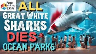 BAKIT WALANG PATING SA AQUARIUM | Why you won't see Great White Sharks in Oceanarium