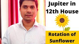Jupiter in 12th House in Vedic Astrology (Jupiter in the Twelfth House)
