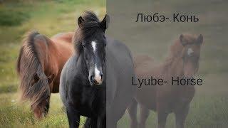 Learn Russian with Songs - Lyube Horse - Любэ Конь