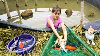 Harvesting Fishing At Fish Pond Go To Market Sell - Cook delicious fish hotpot | Nhất My Bushcraft