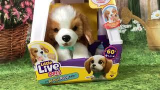 New Interactive Toys for Xmas 2024: Moose Toys My Really Real Puppy Patches Unboxing & Review!