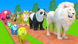 Paint Animals Duck,Tiger,Cow,Lion,Zebra,Gorilla,Elephant,Dinosaur Fountain Crossing Animal Game Pi