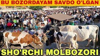 SHO'RCHI MOLBOZORIDA HAM SAVDO UMUMAN YO'Q 02.06.2024