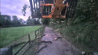 day 47. storm damage (sort of), mucking out and dad's black knots 