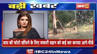 Satpura Tiger Reserve : राष्ट्रीय बाघ संरक्षण प्राधिकरण ने Actress Raveena Tandon को तलब की रिपोर्ट