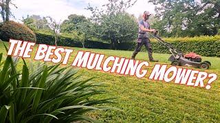 Mulching UK Lawns. What’s The BEST MOWER To Use. CAN YOU Mulch ALL YEAR? #lewisgardenservicesltd