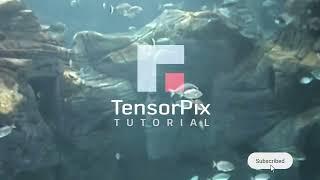 Tutorial: AI Video Enhancement with TensorPix