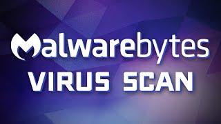 Malwarebytes Basics - How to Scan for Viruses & Other Malware