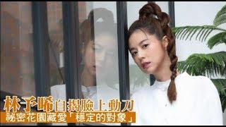 【專訪】林予晞自揭臉上動刀　祕密花園藏愛「穩定的對象」 | 蘋果娛樂 | 蘋果新聞網