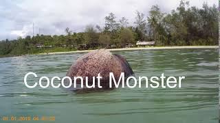 Scary Moments, Coconut Monster #chefstravels