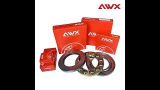 AWX Bearing- a bearing manufacturer, Factory Introduction