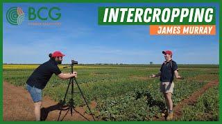 Intercropping with Birchip Cropping Group's James Murray.