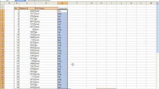 Mapping Data Using Microsoft Excel