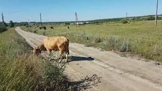 Поездка в Саратов меня разочаровала!